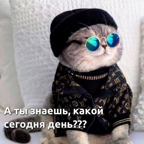 � �� �����, ��� ����� ���� ����������?