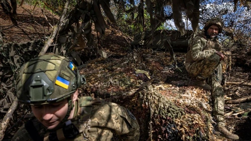 �������: ��� ����������� � ���� ���� �������� �����������, ���������� �� ���