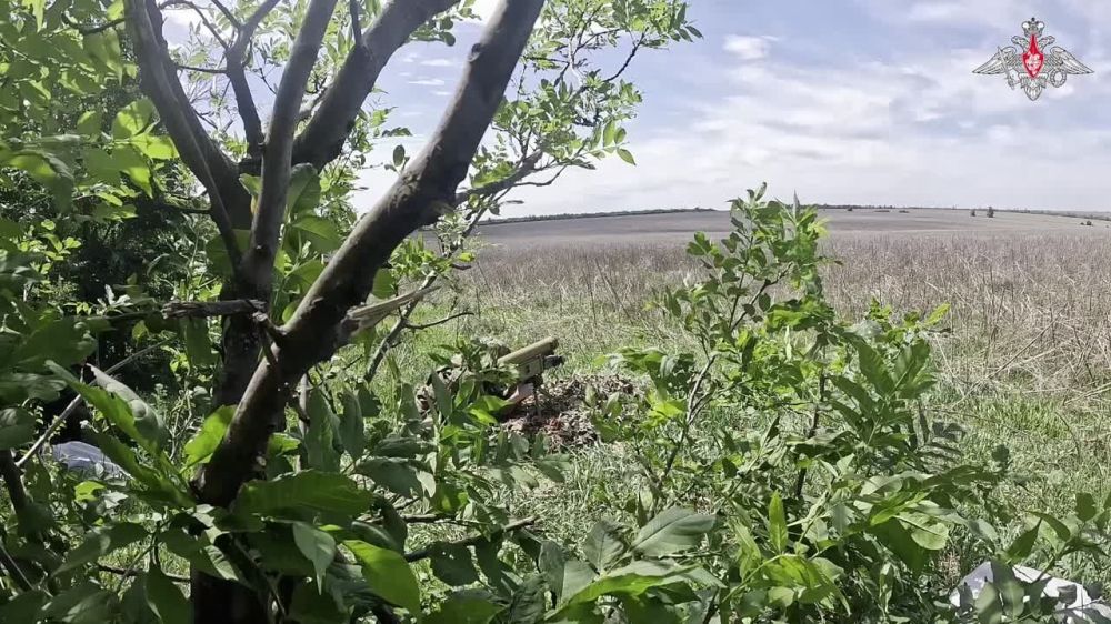 ����� �����: ������ ���� ������ ����������� ����� ������ ������� ������ ���� �� ������������� ����������������� �113 � �������� ������ ���