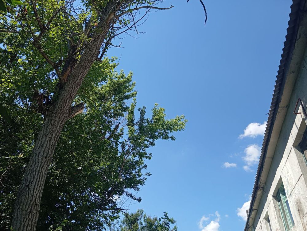 �������� ��������: ������������ ������ ���������� ������ �� ������ �������