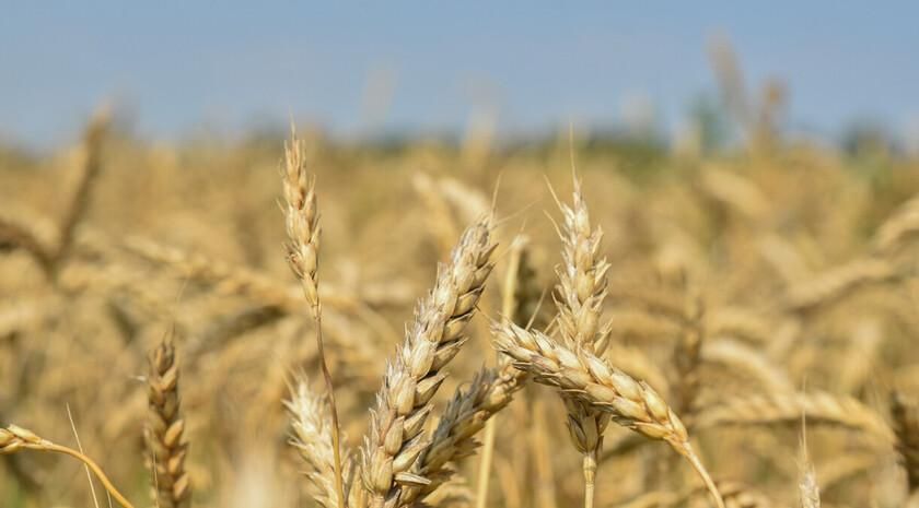 ����� ��� �� ��������� �������������������� ������ ��-�� ����������� ������� � ��� �� �����������