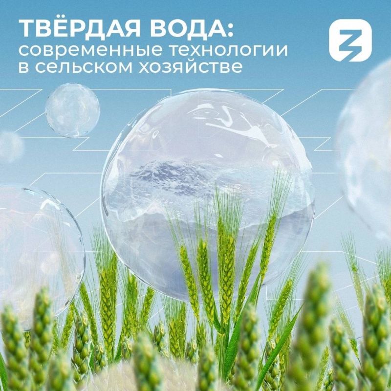 � 2015 ���� ���������� ������ �������� ������� ����