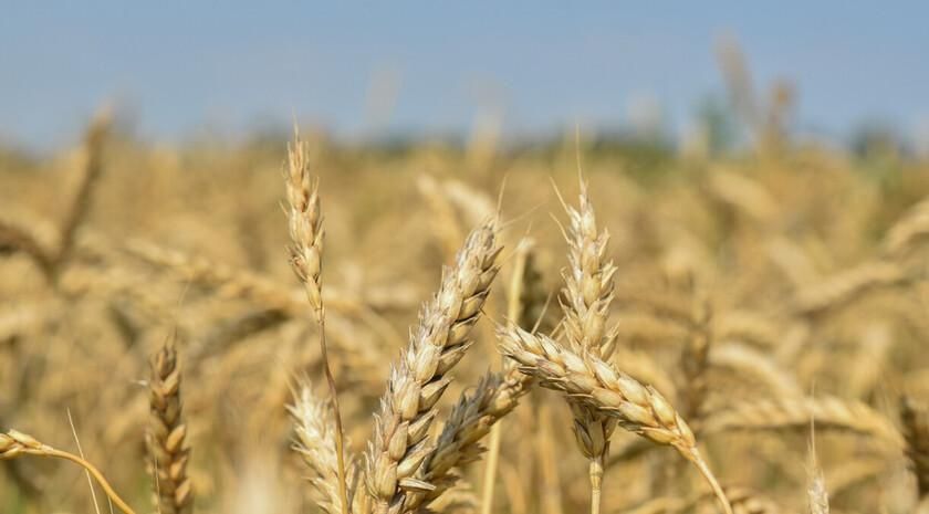 ������ ��������: ����� ��� �� ������������� � ��� ��-�� ����������� ������� �� �����������