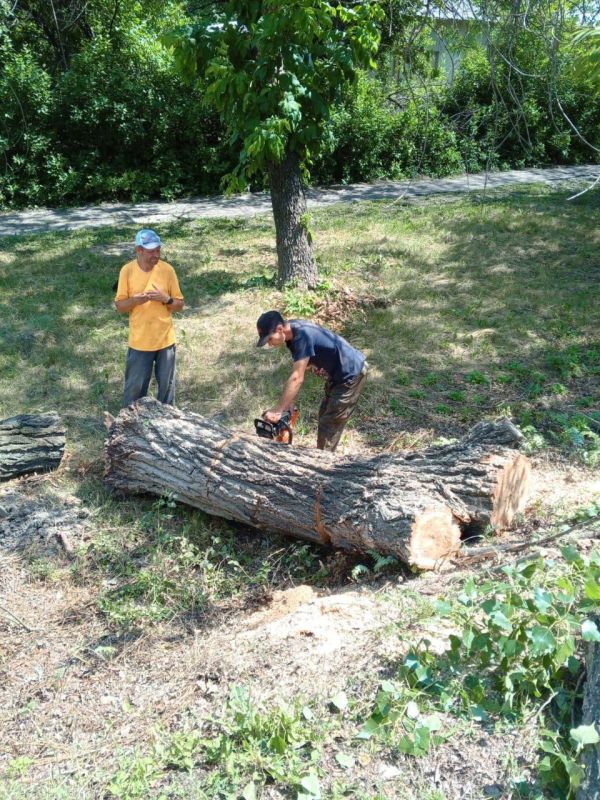 �������� ��������: ������������ ������ ���������� ������ �� ������ �������