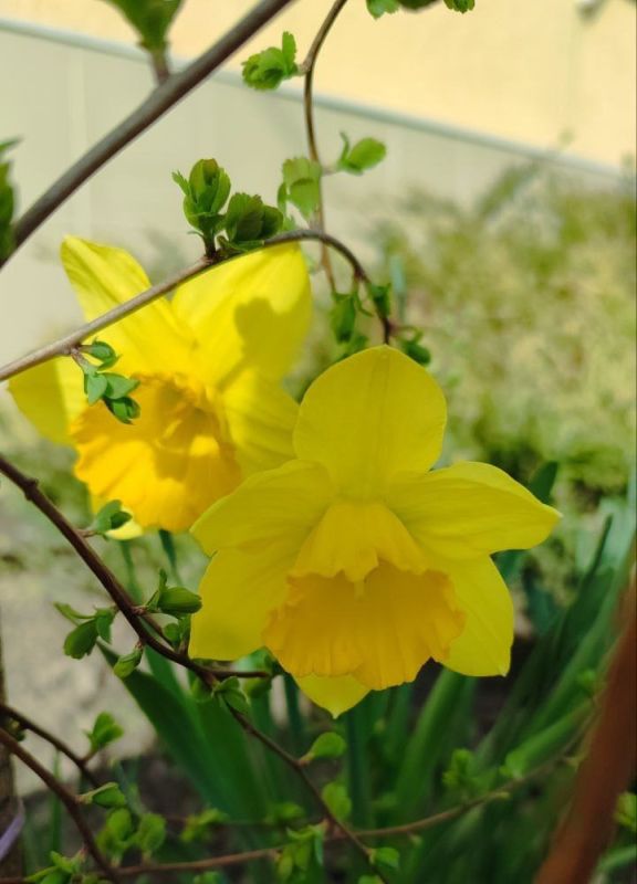 � ������ �����, ������ ����������� �������������� ������!