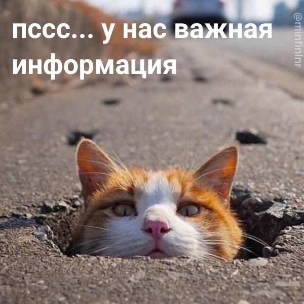 ����������? ����� � ���������