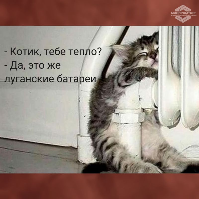 ������ ������ ������ � ��������� ����������� � ������� ����