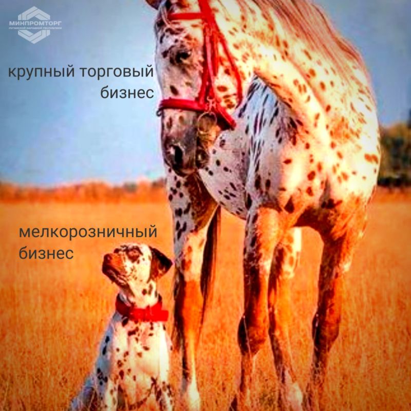 *����� �������� ���������� ����������� �������� ������� �� ���������� �����