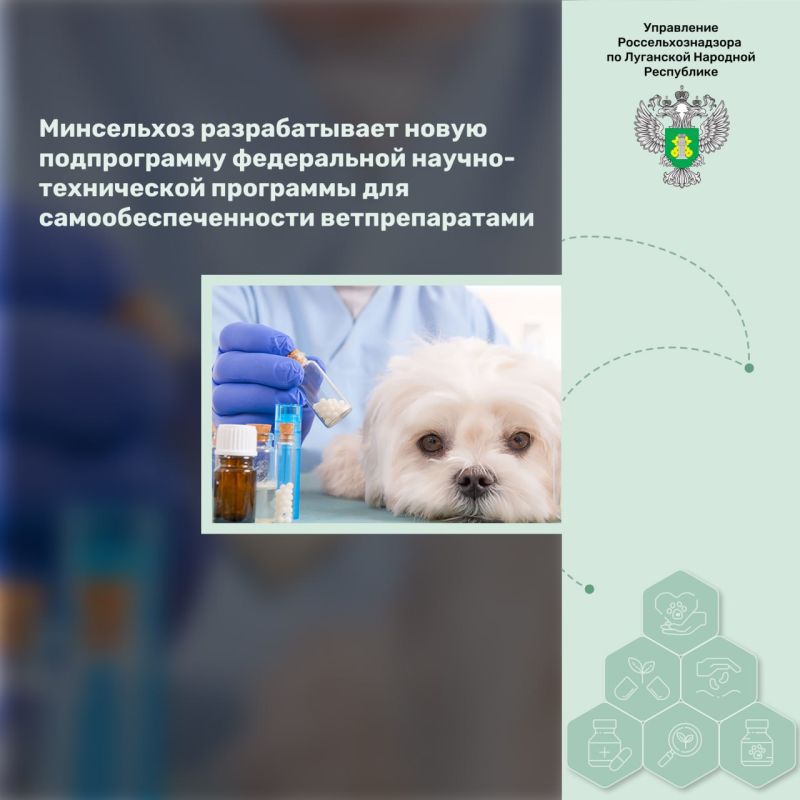 ���������� ������������� ����� ������������ ����������� ������-����������� ��������� ��� ������������������ ��������������