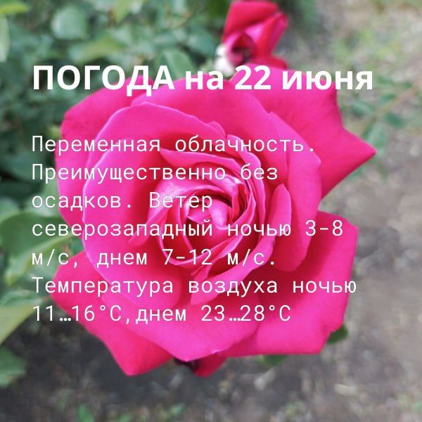 #������� #������. ��� "��������� �������� ������������ �����" ���������: