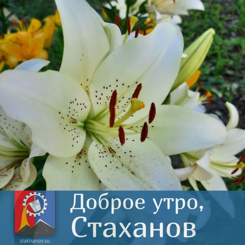 Доброе утро, дорогие жители!