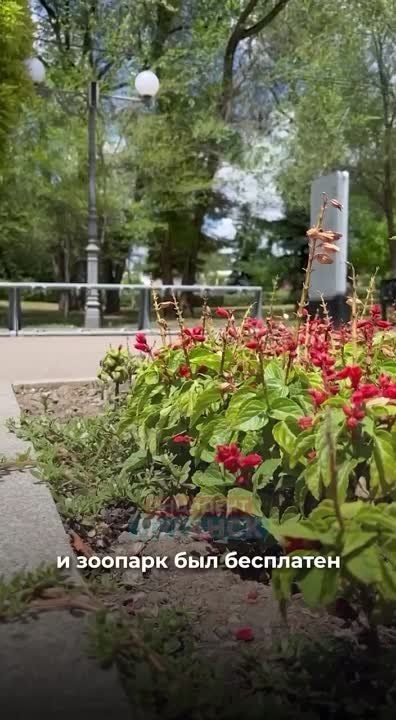 ������� � ����� �������� ������ �� �����!?