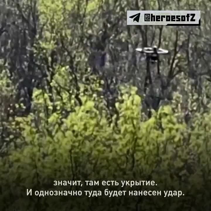 ��������� ����� �������, �������� ��������������� ������, ��������� ������������ �������