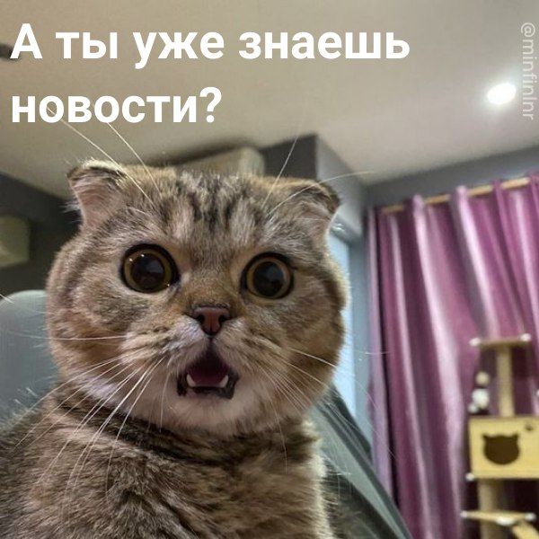 � 1 ���� ����������� ����� ����� ����������� �� �������� (��������) ������ �� �������
