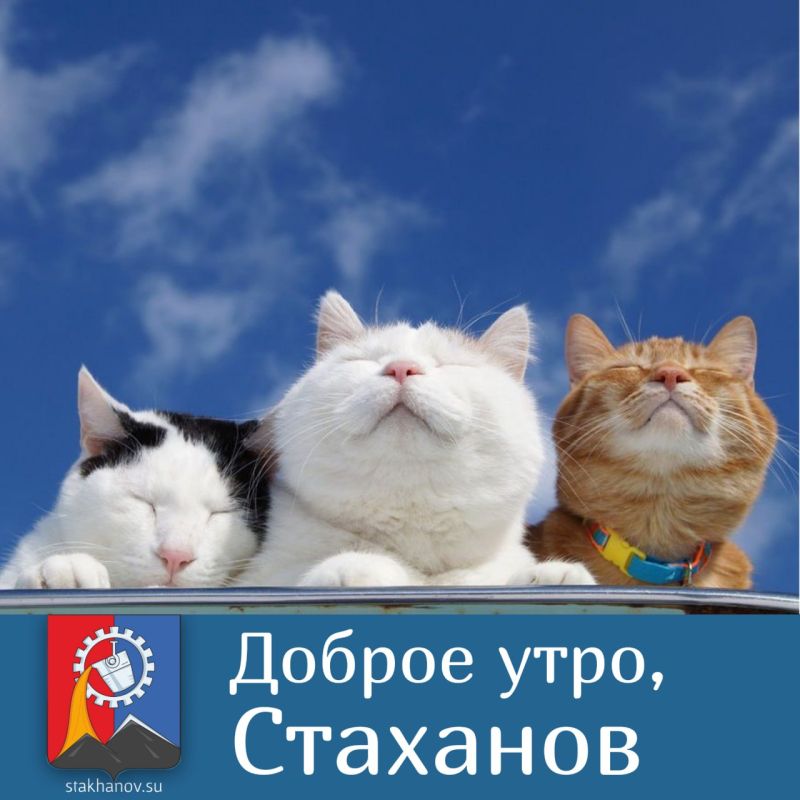 ������ ����, �����. �������: ����� ������ - ������ ������ ������ ���� �������� ���������� � ��������� �������� ��� ������� ��������� � � Telegram