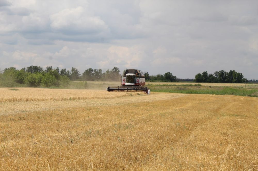 ������ ����������: � ���� ������� ������� ���������� � ��������� ���������������� ������