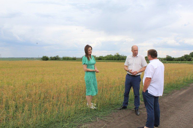 ������ ����������: � ���� ������� ������� ���������� � ��������� ���������������� ������