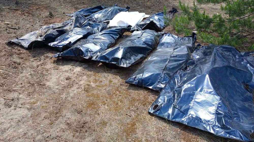 ���������������� ������� ������ �� ������� ����������� ����� ���������� �������� � ������ �������� 2024 ���� �������� �� ��������� ����������� �� ���������� ��� ������� 193 �������