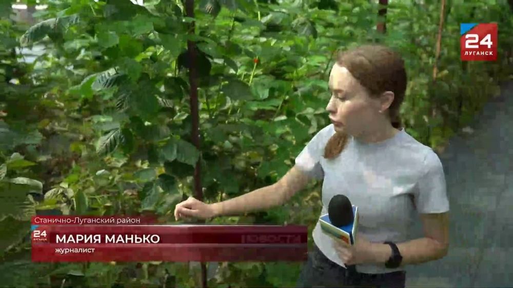 �������� ������ ������� �������� � ��������-��������� ������ ���� ������ � ����-��� �����