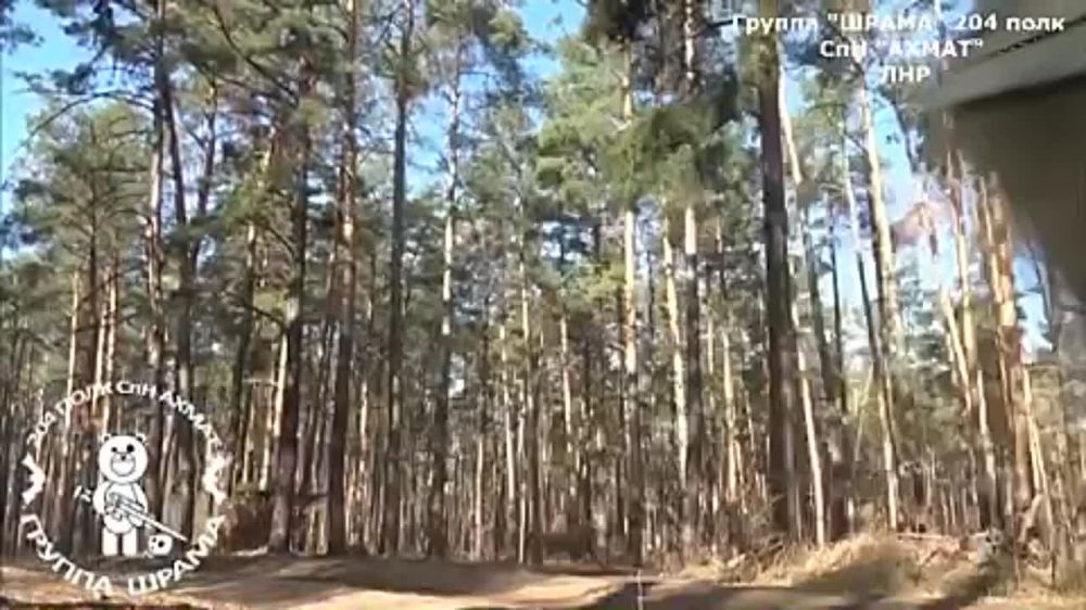 � ����������� ������� �� ��������, ������ ��� �������� � ���� ����� �������� �������������� ������� ��������� ��� ��������� �������� Z�