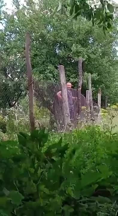 ������ �������: ����� � �����, ��� � ����������� ������� ���������� ������� ������ ���� ������������ � ���������� � ������� ��������� ������ �������, ���, ��� ����� ������ ����, ���������� ������������� �������� ���� ������������ �����������