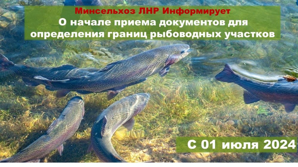 �� ����������� ������� ������ ���������� �� ����������� ����������� ���������