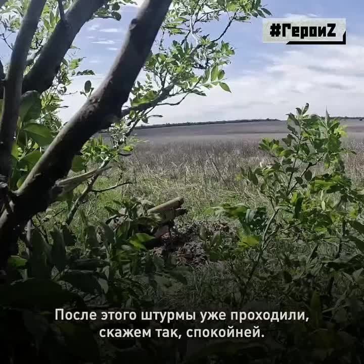 ������ ���������������� ��������� ��������� ������ ������� ��������� ������������ ���������������� �113 � ������� ����� ��� �� ���������� �����������