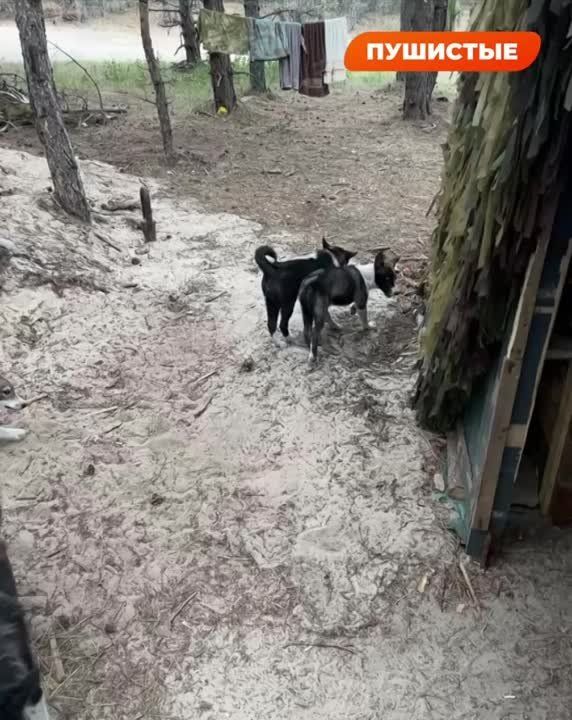�������� ��������� � ������ � ����������� �����������