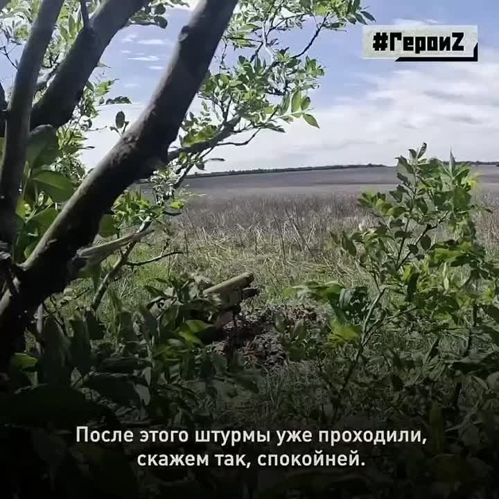 #�����Z. ������ ���������������� ��������� ��������� ������ ������� ��������� ������������ ���������������� �113 � ������� ����� ��� �� ���������� �����������