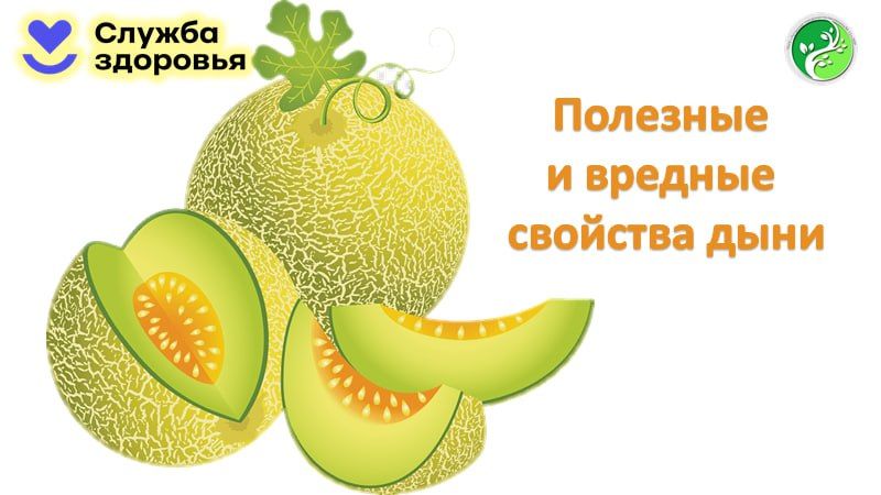 ����, � ������, ��� ������ ����� �� ��������� ��������� �������� ������� ������ ������� � ����