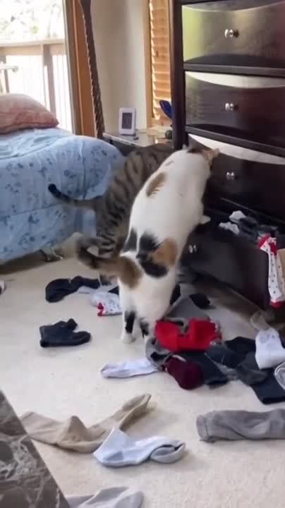 ����� ������ �� ����������� � �����?