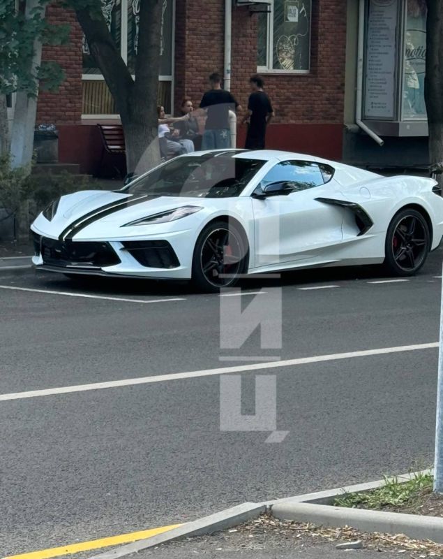 ����� �����: ������� ��������� ��������