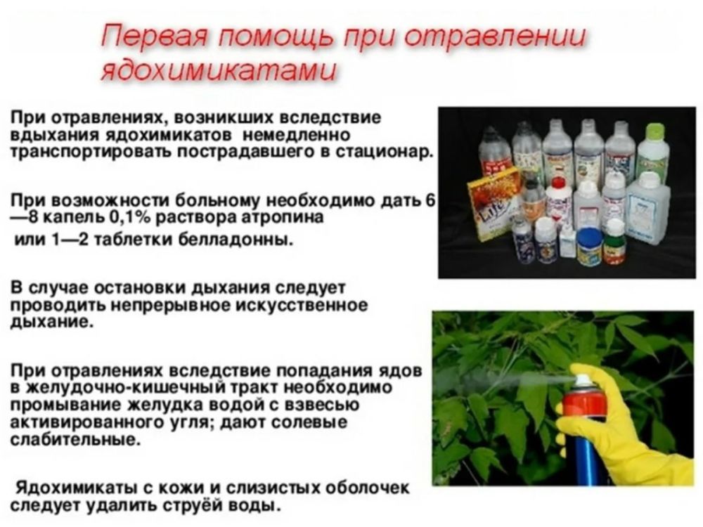 ���������� ���������� �������� ����������