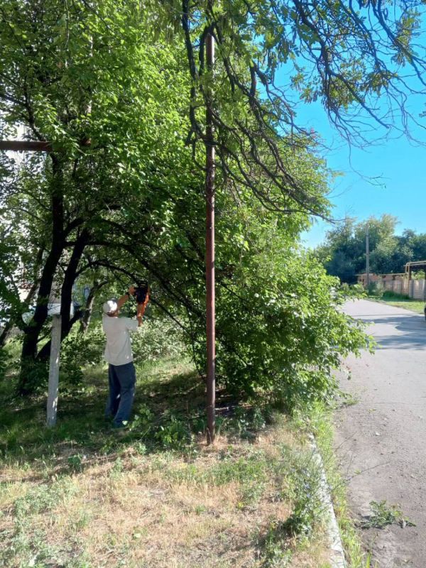 �������� ��������: ������������ ������ ���������� ������ �� ������ �������