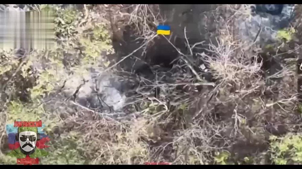 ��������� ���� ���������� ���������� ������� � ������ ������ ���������� ������������� �� ���� ����� ������
