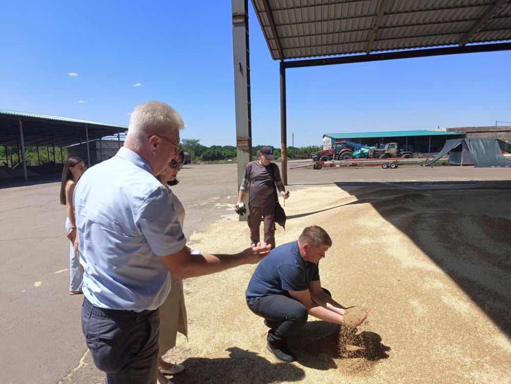 Сергей Козенко: В настоящее время на Краснодонщине активно идёт уборочная кампания