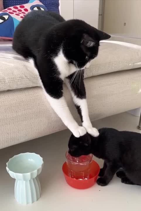 �� �� ��, ����� ������ �����
