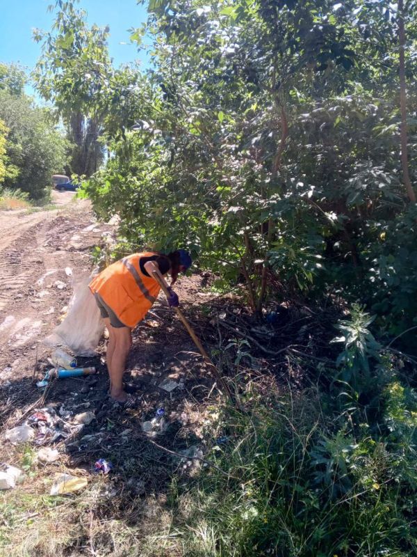 �������� ��������: ������������ ������ ���������� ������ �� ������ �������