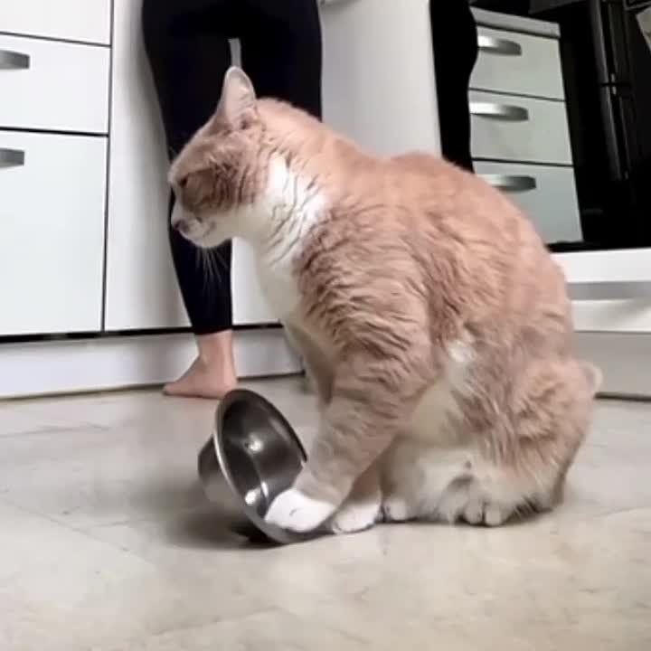 ��������� �������� �������� �� �������� ����