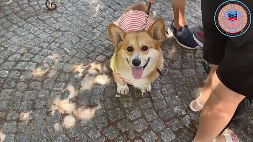 ������������ ��������� �������� � ������� �� "�����������"