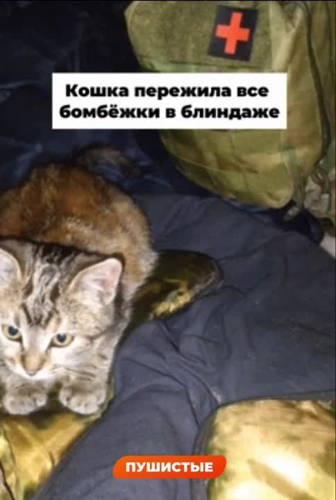 ���������� ������� �� ������ ��������� ������ ���� � �����, �� � ��������� ������ ��������