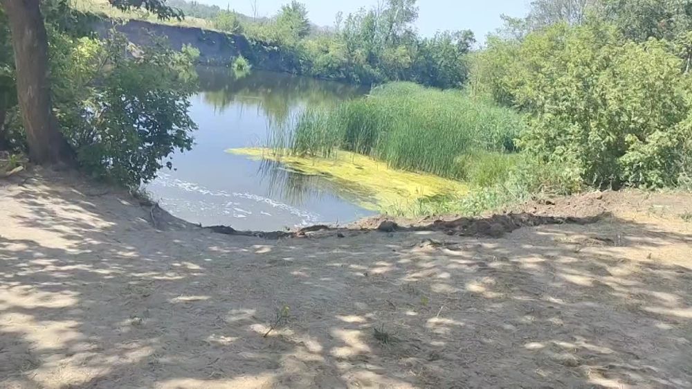 ������� ��������: ��������������� �� �. ����������� ������ ���������� �������� ��������������� ������ �� �. ���� � ������������ ����