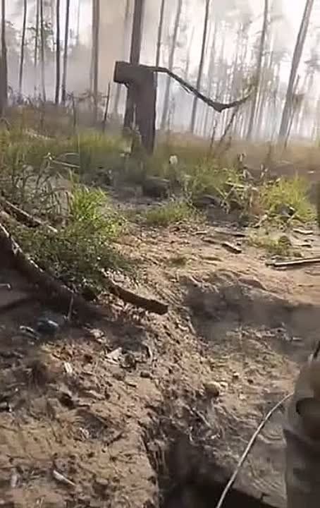 ����� �����: ������ ��������� "���� ���" � ����� ��� ���������