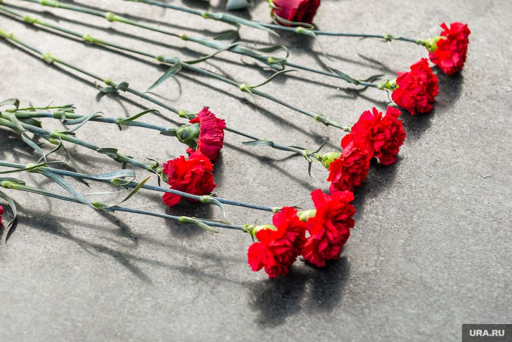 � �������� � ��������� ���������� 20 ������, �������� � ���