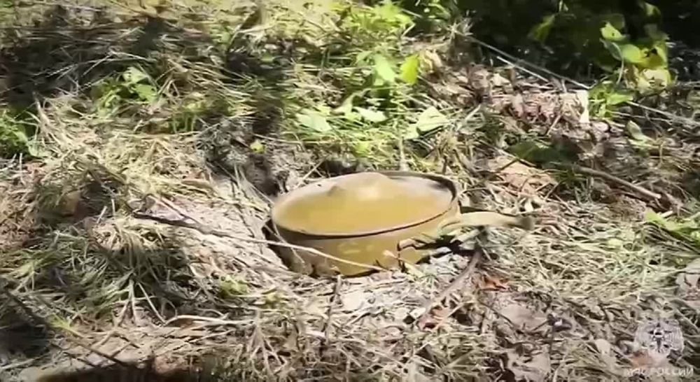 �� ������� ����������� ��� ������ ����������� ����� 44 ���