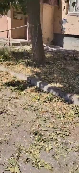 �������� ���������: ����������� ��������� ���������������� ����