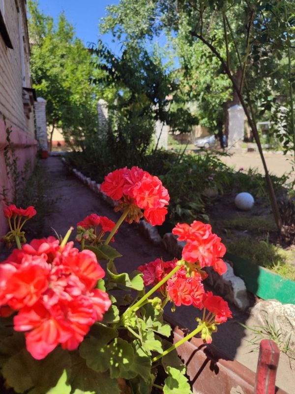 ������� ��������: �������� �� ������, ��������� �������� �� ��, � ����� ������� ������������� ��������� �� ����������� ������������