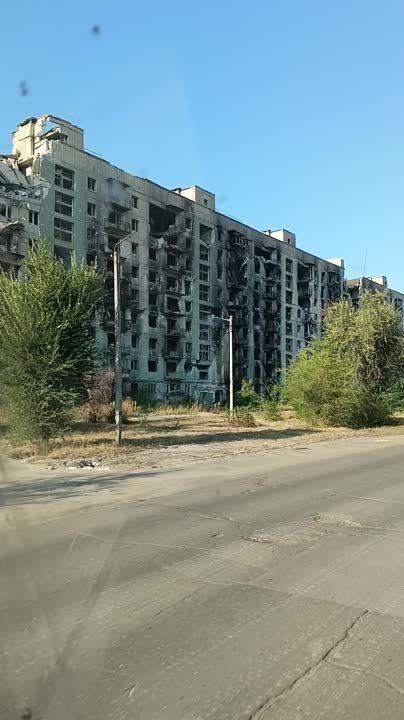 ����� �����: ������������. ���� 2024