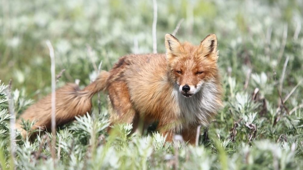 ��������������, ����� ������� �����: �� ������������ ������ � ����� ����� ������ �������� �������� ��������