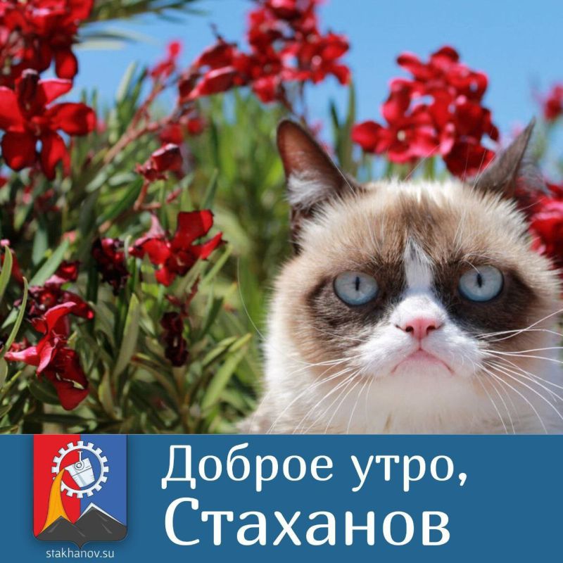 �� ��������� - ������ �������!
